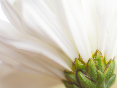 亚洲精品免费视频观看 亚洲精品免费视频观看