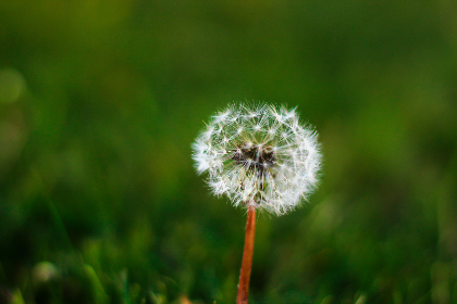 老公每天晚上要吃母乳 老公每天晚上要吃母乳