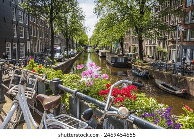 浓密肥白的中年熟妇