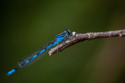 国偷自产一区 国偷自产一区