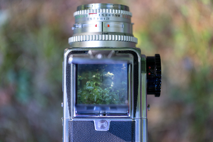 日本电影黄色片观看 日本电影黄色片观看