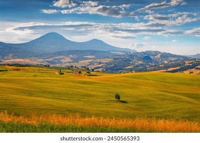 香肠派对下载游戏正版