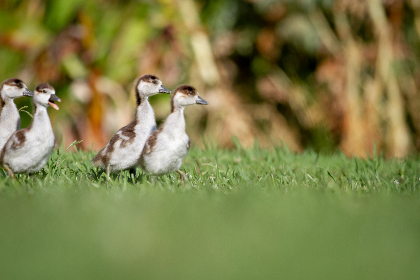 浮力电影院打开路线 浮力电影院打开路线
