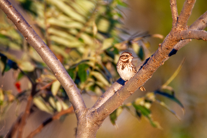 香港日本三级亚渄三级 香港日本三级亚渄三级