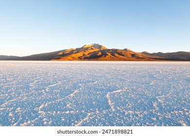 快猫网站换成多少了