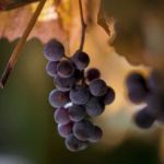 国产高清观看免费的a站 zpprrd4084